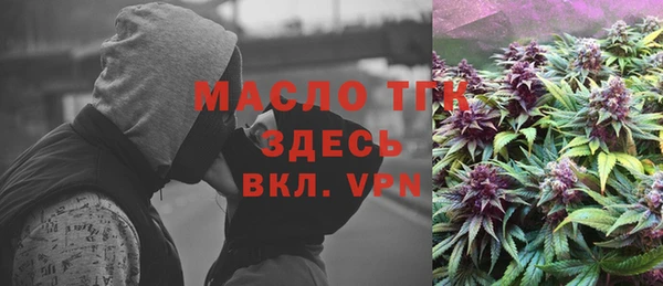 ECSTASY Алзамай