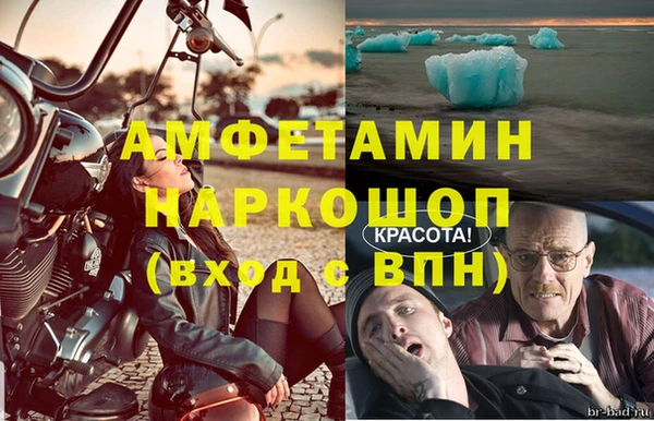 ECSTASY Алзамай