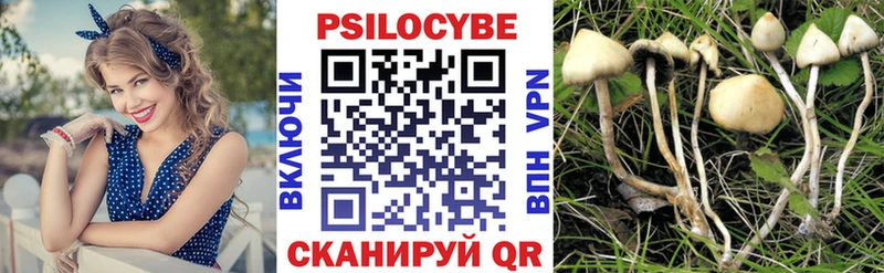 Псилоцибиновые грибы Psilocybine cubensis  Гаврилов Посад 