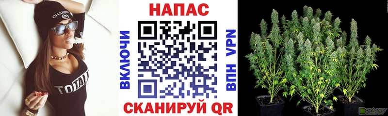 Канабис марихуана  Гаврилов Посад 